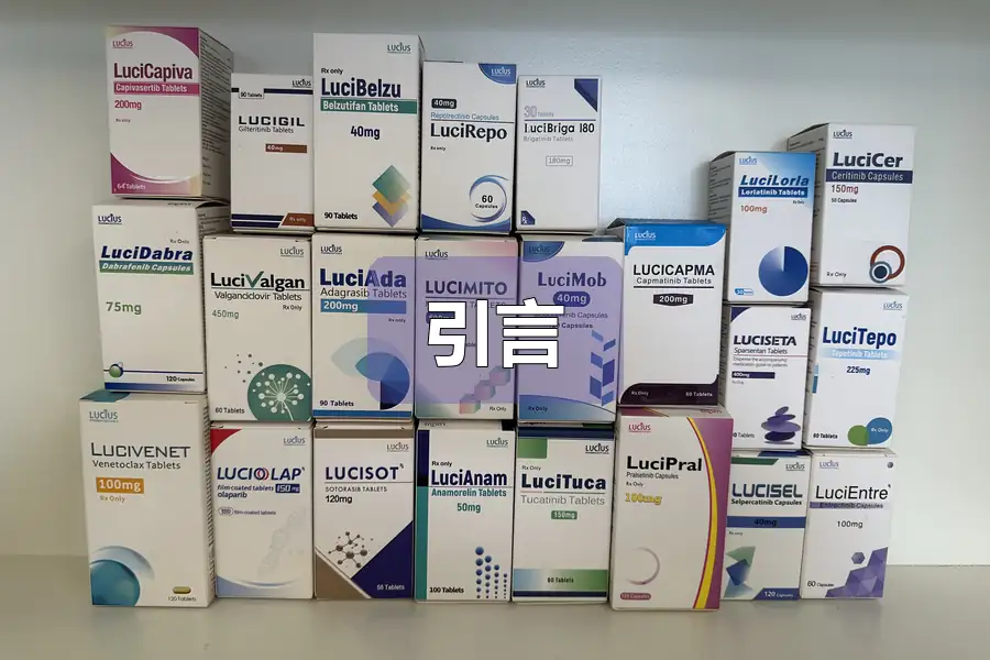 引言